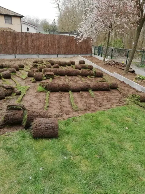 Complete tuinaanleg realisatie in Ninove met een strak terras en moderne beplanting door Js Tuinen