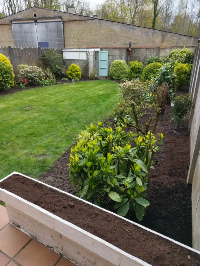 Grondige tuinrenovatie en herbeplanting van borders uitgevoerd door Js Tuinen in Meerbeke