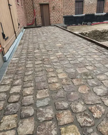 Gedetailleerd tuinonderhoud met strak gesnoeide hagen en heesters in Meerbeke door Js Tuinen